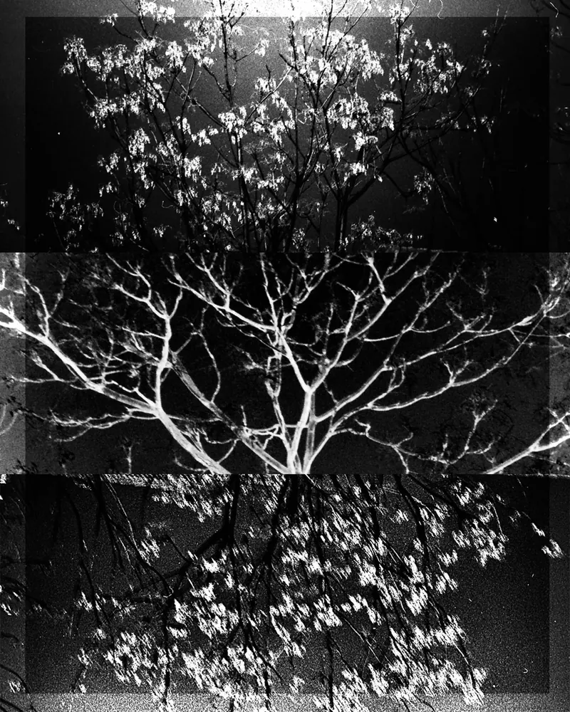 Collage 02