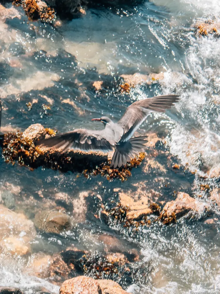 Above the surface 5