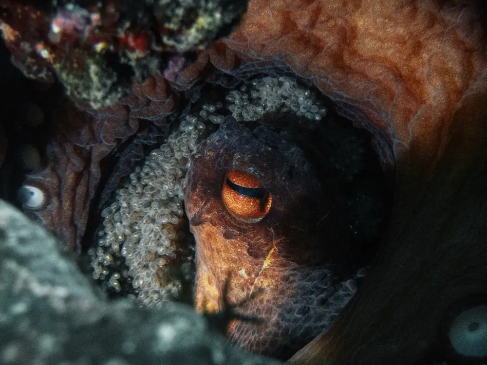 Below the surface 10