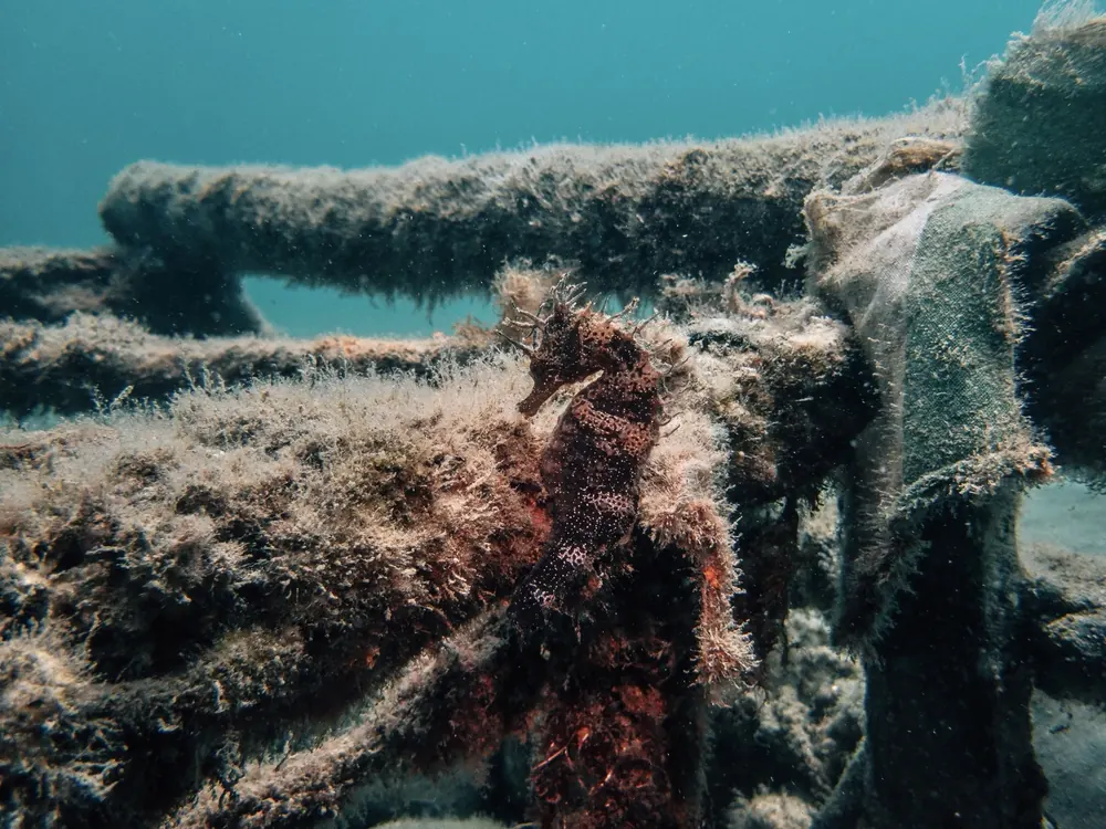 Below the surface 13
