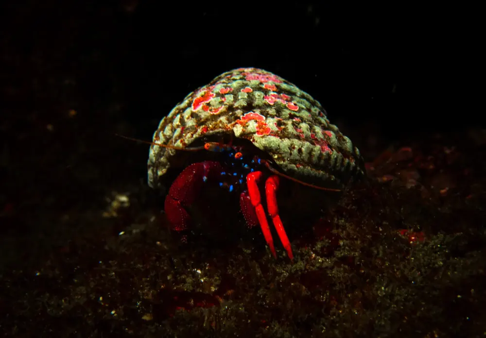 Below the surface 14