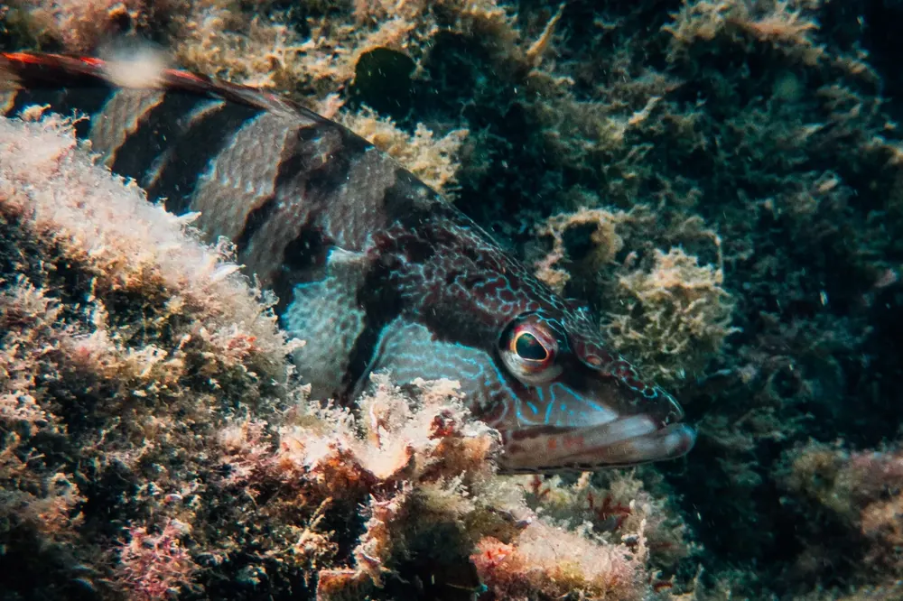 Below the surface 19