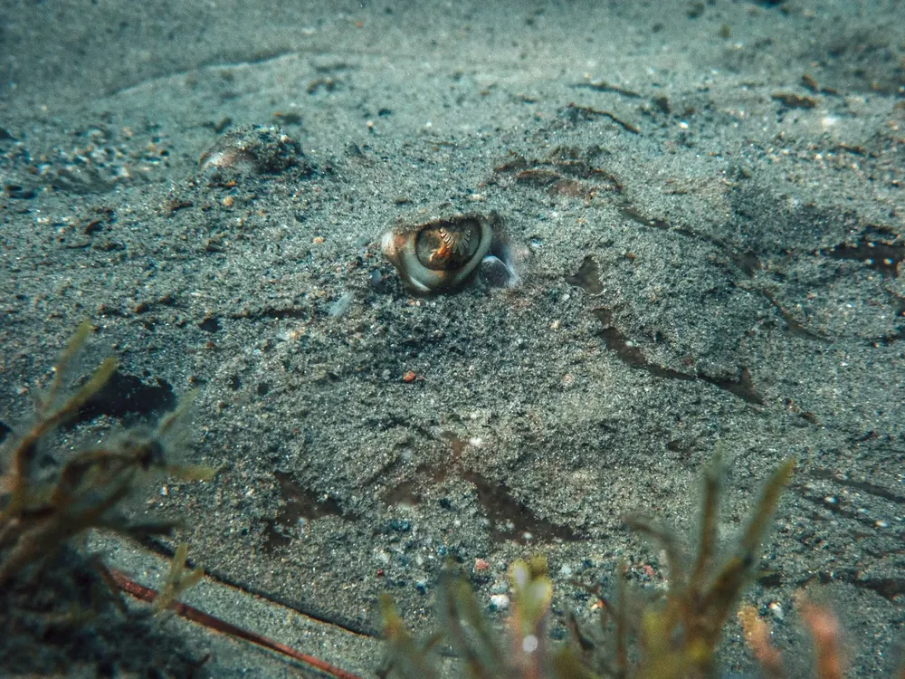 Below the surface 1