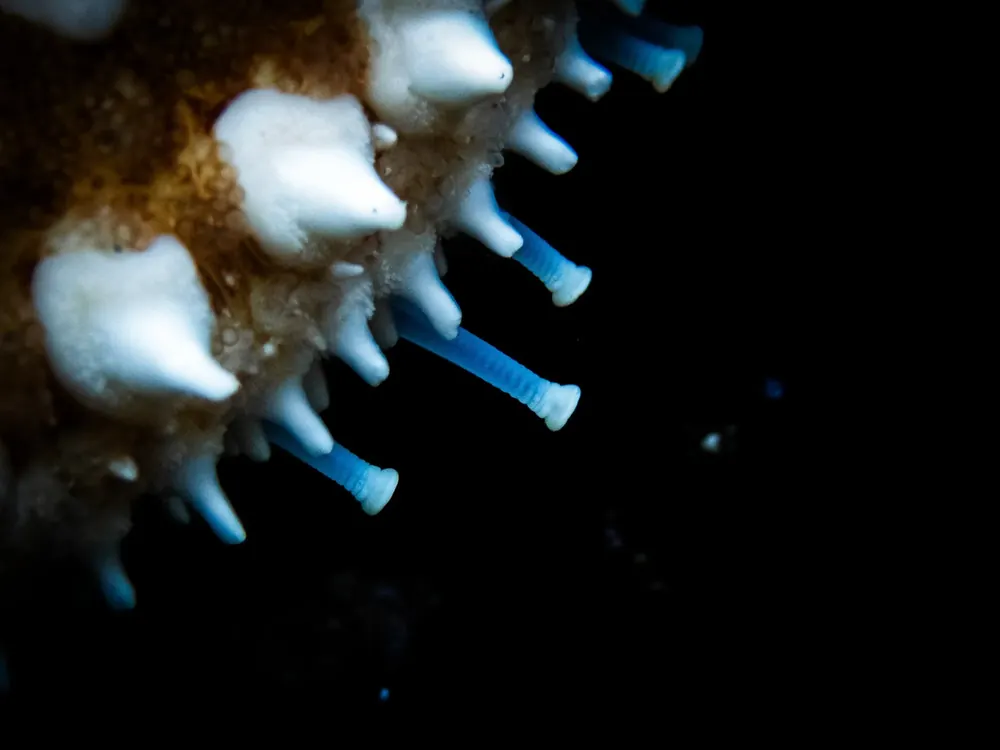 Below the surface 24