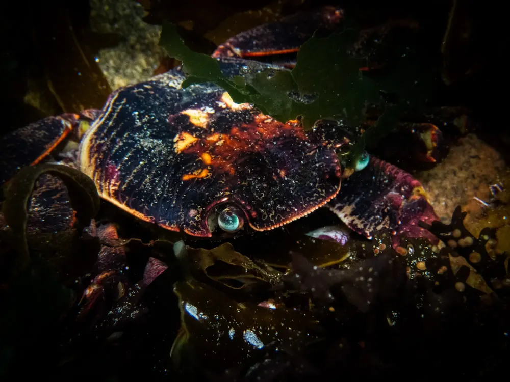 Below the surface 3