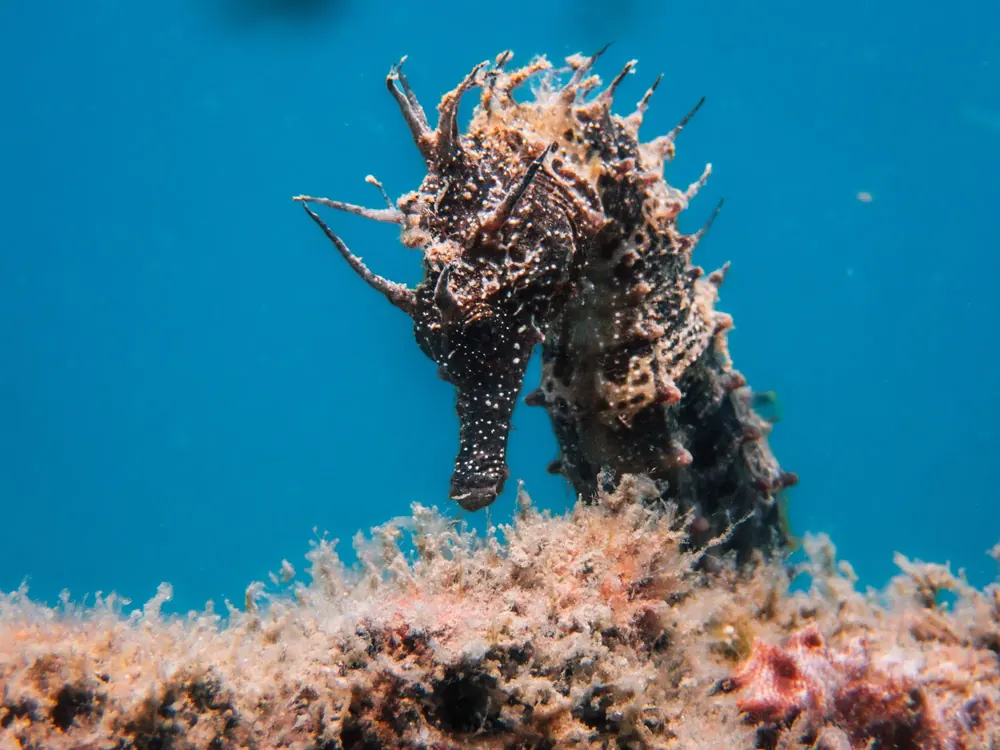 Below the surface 4