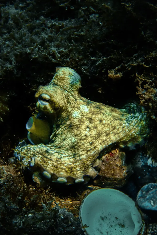 Below the surface 5