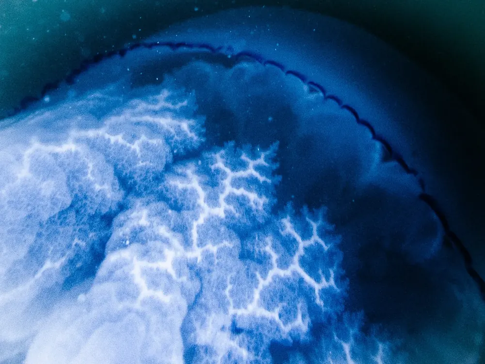 Below the surface 7