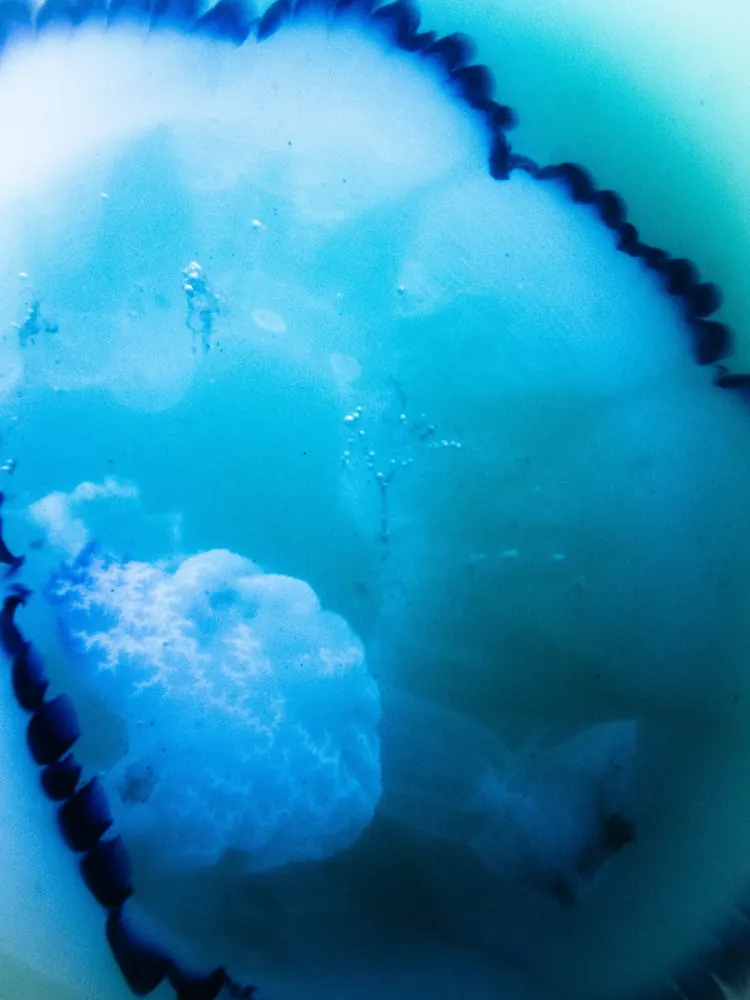 Below the surface 8
