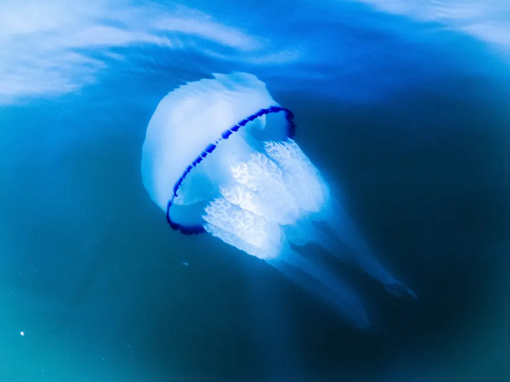 Below the surface 9