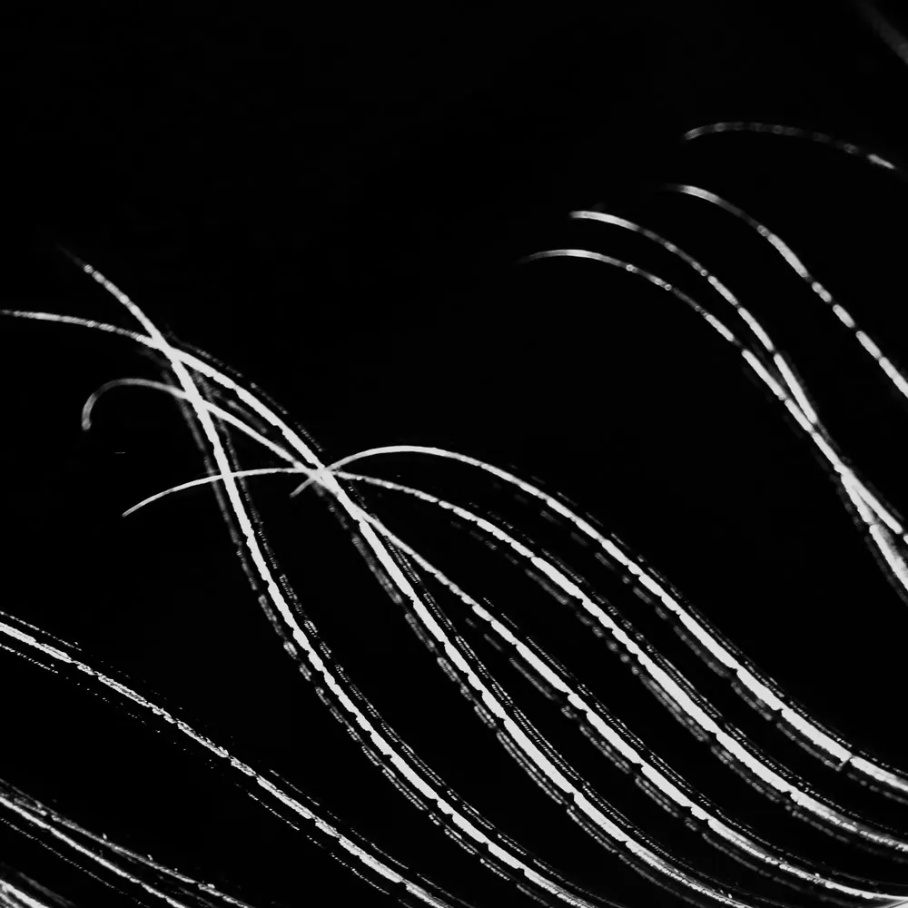 Between dreams 18