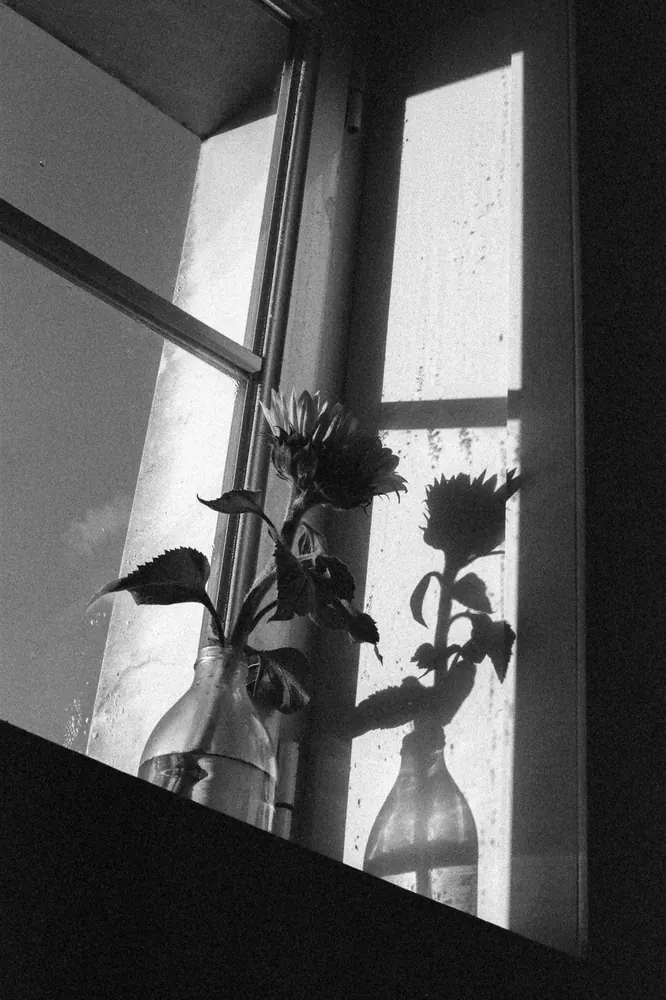 Between dreams 4