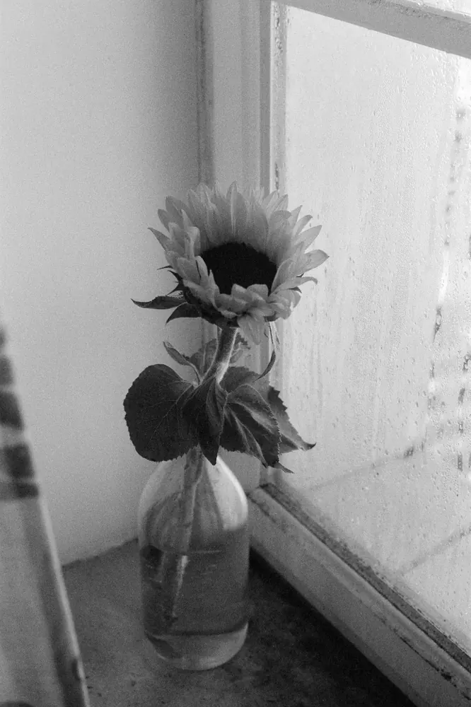 Between dreams 6