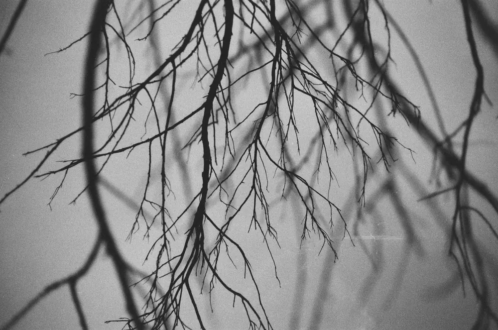 Between dreams 9