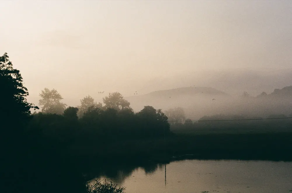 Into the nature 6