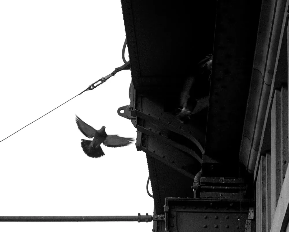On the concrete 14